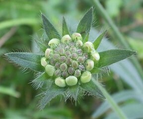 Persoonlijke Producten