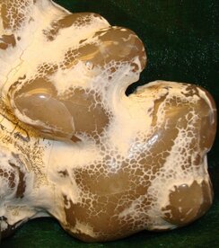 Edelsteen Remedie Chalcedoon   Inhoud 10 cc