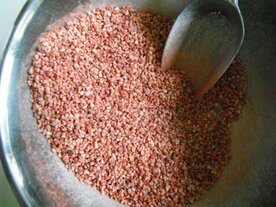 DRAKENBLOED, Natuurzuivere Wierook (55 cc)