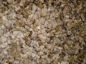 VREDE, Natuurzuivere Wierook (55 cc)