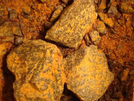 TOLU BALSEM , Natuurzuivere Wierook (220 gram)