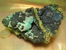 Chryscolla Californi&euml; V.S.