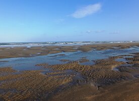 Element Remedie PLUTONIUM  Inhoud 10 cc