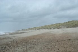 7: YANG WEI MO (YANG WEI MAI), oertinctuur (10 cc)