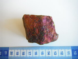 Borniet (Pauwenerts) Mexico