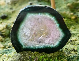 TOERMALIJN SCHIJF (WATERMELOENTOERMALIJN)