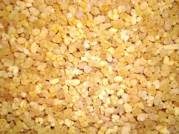 OLIBANUM (Kerkwierook) (Frankincense), Natuurzuivere Wierook (55 cc)