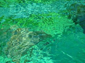 ROCK WATER (Welwater), Bloesem Remedie (10 cc)