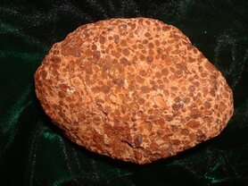 ELEMENT REMEDIE ALUMINIUM  Inhoud 10 cc