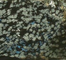 Edelsteen Remedie Obsidiaan, Sneeuwvlok  Inhoud 10 cc