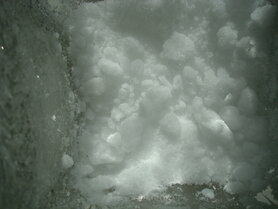 KAMFER POEDER, Natuurzuivere Wierook (20 gram)