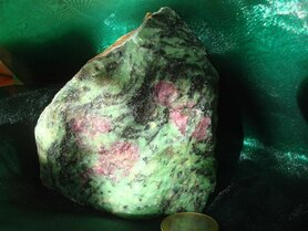 Robijn in Zoisiet Namibie