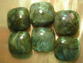 Labradoriet kussen groot