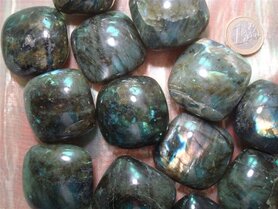 Labradoriet kussen klein