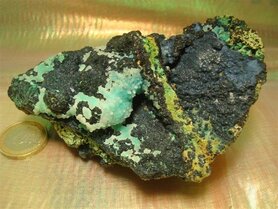 Chryscolla Californië V.S.