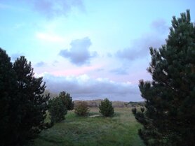 Edelsteen Remedie Graniet, Roze  Inhoud 10 cc