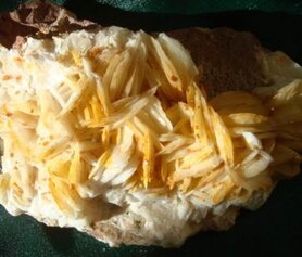 ELEMENT REMEDIE BARIUM Inhoud 10 cc