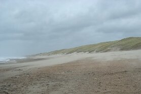 4: YIN KEO MO (YIN QIAO MAI), oertinctuur (10 cc) 