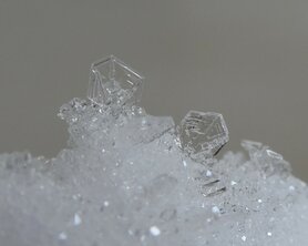 KAMFER (hars/hout), Etherische Olie (10 cc)