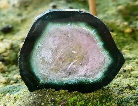 TOERMALIJN SCHIJF (WATERMELOENTOERMALIJN)